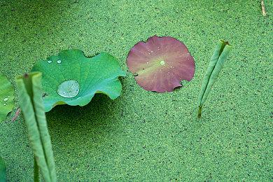 《祝你好死》快餐更新正式上线 官方发布动画宣传片